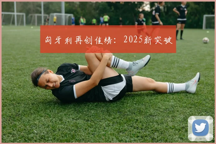匈牙利再创佳绩：2025新突破