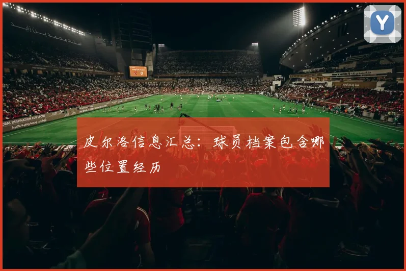 皮尔洛信息汇总：球员档案包含哪些位置经历