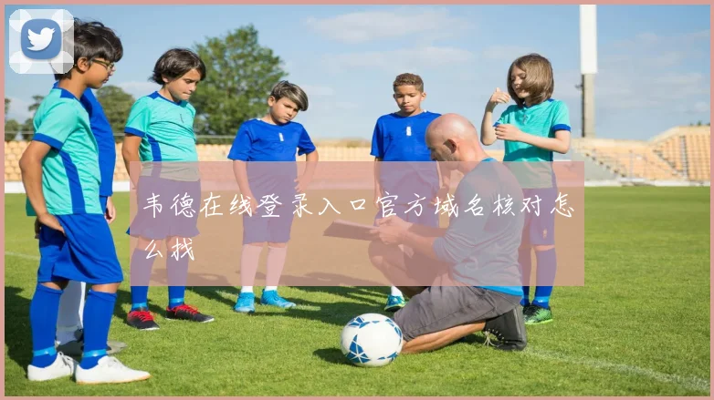 韦德在线登录入口官方域名核对怎么找